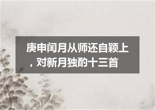 庚申闰月从师还自颖上，对新月独酌十三首