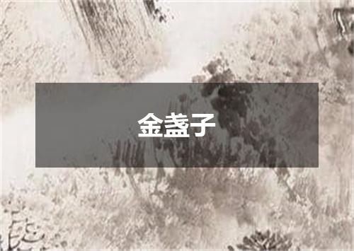 金盏子