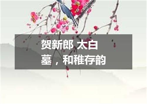 贺新郎 太白墓，和稚存韵