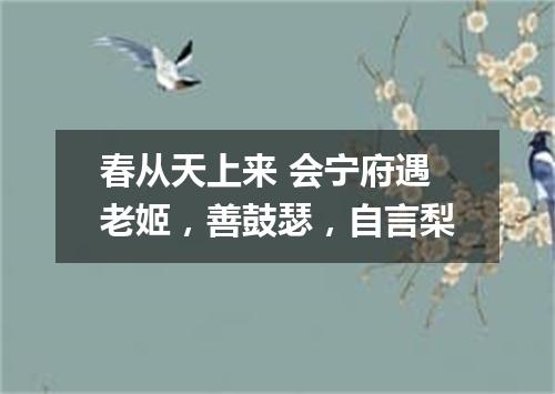 春从天上来 会宁府遇老姬，善鼓瑟，自言梨