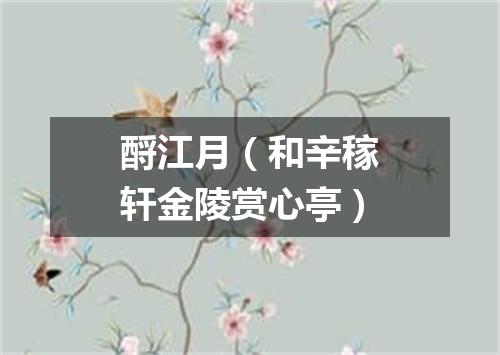 酹江月（和辛稼轩金陵赏心亭）