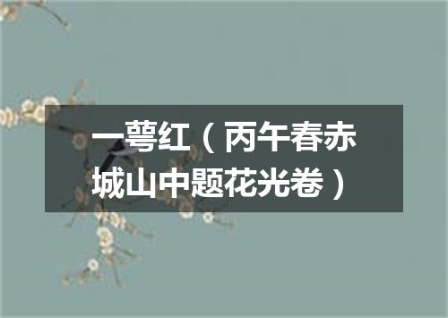 一萼红（丙午春赤城山中题花光卷）
