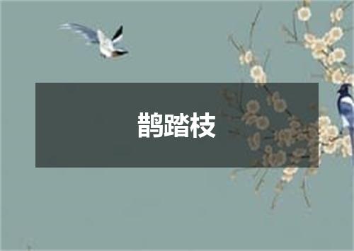 鹊踏枝