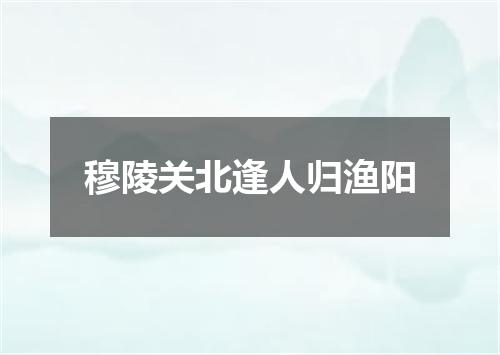 穆陵关北逢人归渔阳