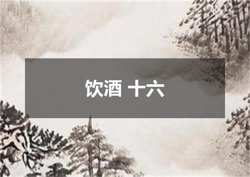 饮酒 十六