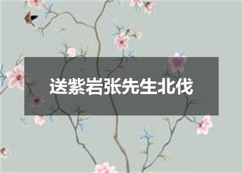 送紫岩张先生北伐