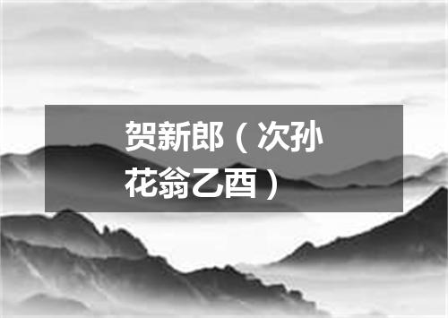 贺新郎（次孙花翁乙酉）