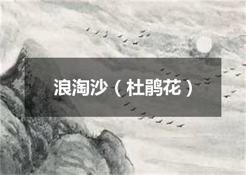 浪淘沙（杜鹃花）