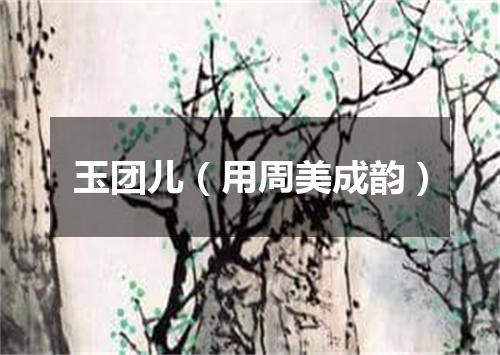 玉团儿（用周美成韵）