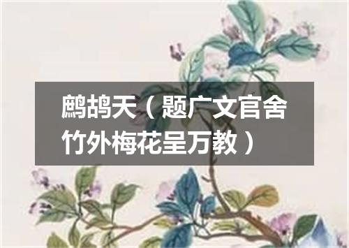 鹧鸪天（题广文官舍竹外梅花呈万教）