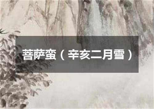 菩萨蛮（辛亥二月雪）