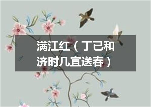 满江红（丁已和济时几宜送春）