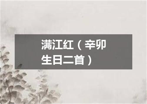 满江红（辛卯生日二首）