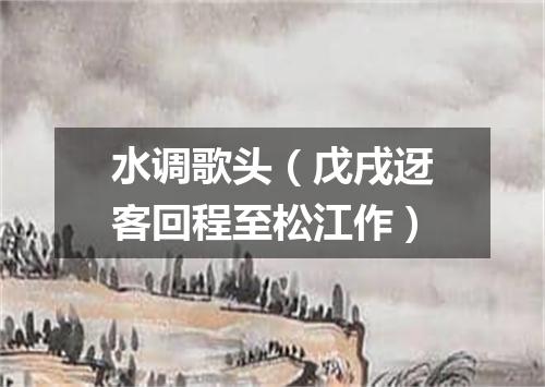 水调歌头（戊戌迓客回程至松江作）