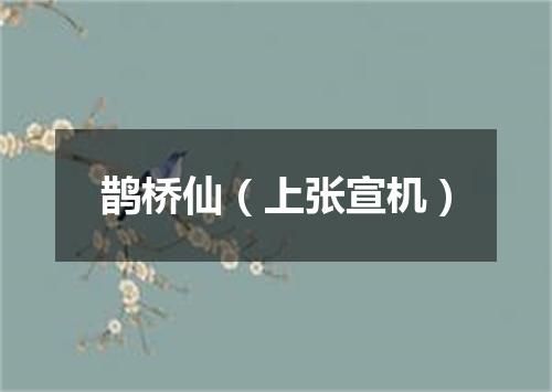 鹊桥仙（上张宣机）
