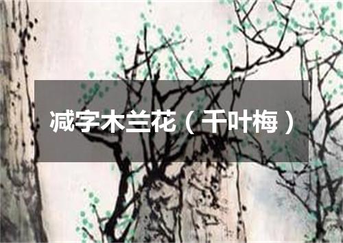 减字木兰花（千叶梅）