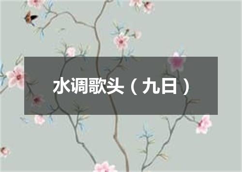 水调歌头（九日）