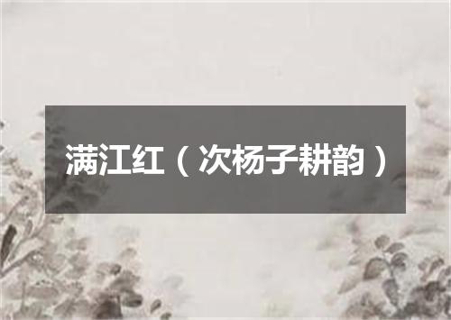 满江红（次杨子耕韵）