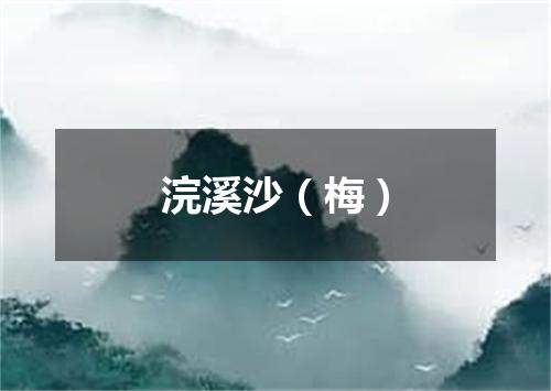浣溪沙（梅）