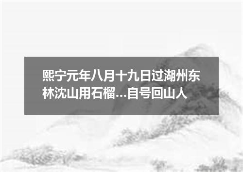 熙宁元年八月十九日过湖州东林沈山用石榴…自号回山人