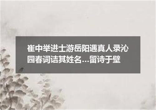 崔中举进士游岳阳遇真人录沁园春词诘其姓名…留诗于壁