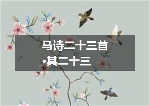 马诗二十三首·其二十三