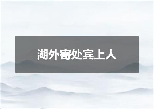 湖外寄处宾上人
