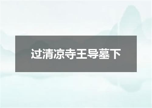 过清凉寺王导墓下
