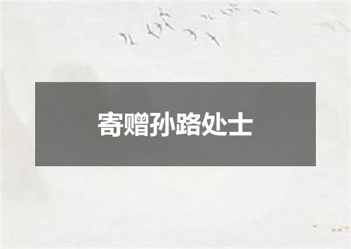 寄赠孙路处士