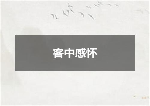 客中感怀