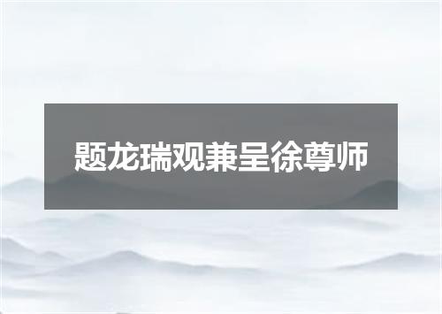 题龙瑞观兼呈徐尊师