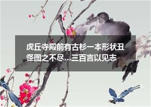 虎丘寺殿前有古杉一本形状丑怪图之不尽…三百言以见志