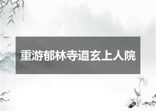 重游郁林寺道玄上人院