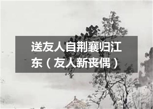 送友人自荆襄归江东（友人新丧偶）