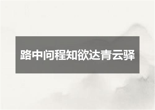 路中问程知欲达青云驿