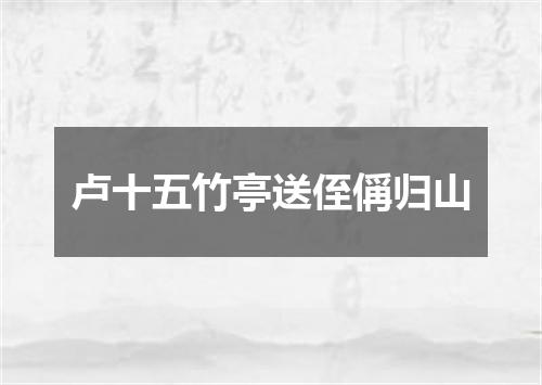 卢十五竹亭送侄偁归山