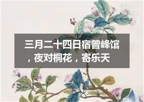 三月二十四日宿曾峰馆，夜对桐花，寄乐天
