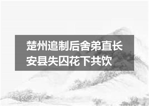 楚州追制后舍弟直长安县失囚花下共饮