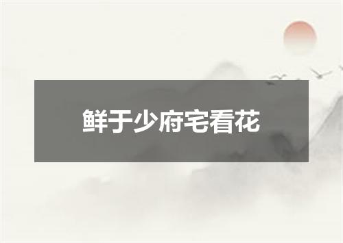 鲜于少府宅看花