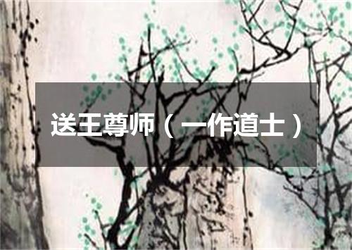 送王尊师（一作道士）