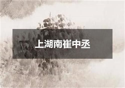 上湖南崔中丞