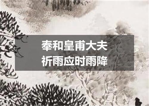 奉和皇甫大夫祈雨应时雨降