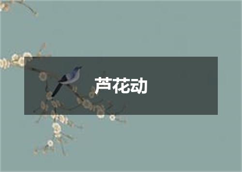 芦花动