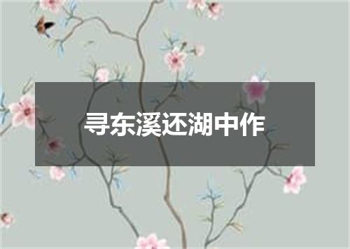 寻东溪还湖中作