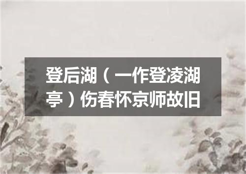 登后湖（一作登凌湖亭）伤春怀京师故旧