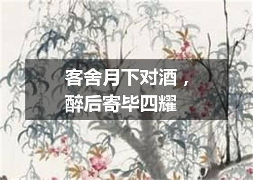 客舍月下对酒，醉后寄毕四耀