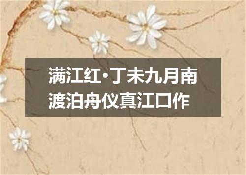 满江红·丁未九月南渡泊舟仪真江口作