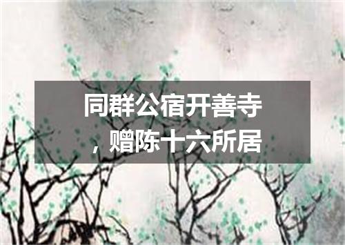 同群公宿开善寺，赠陈十六所居