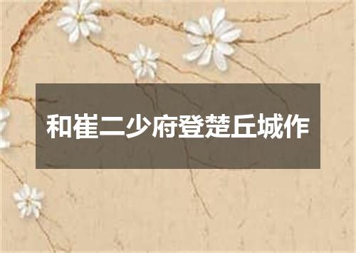 和崔二少府登楚丘城作
