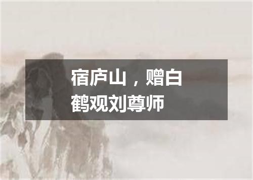 宿庐山，赠白鹤观刘尊师